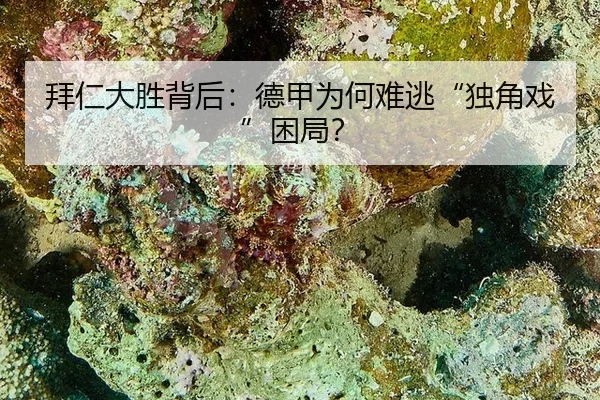 拜仁大胜背后：德甲为何难逃“独角戏”困局？