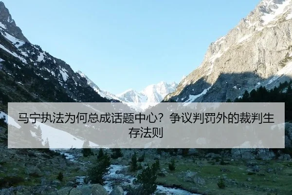 ma-ning-zhi-fa-wei-he-zong-cheng-hua-ti-zhong-xin-zheng-yi-pan-fa-wai-de-cai-pan-sheng-cun-fa-ze-2-115.jpg