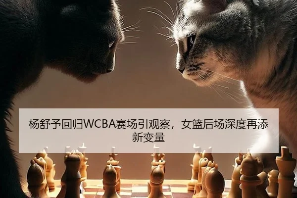 杨舒予回归WCBA赛场引观察，女篮后场深度再添新变量
